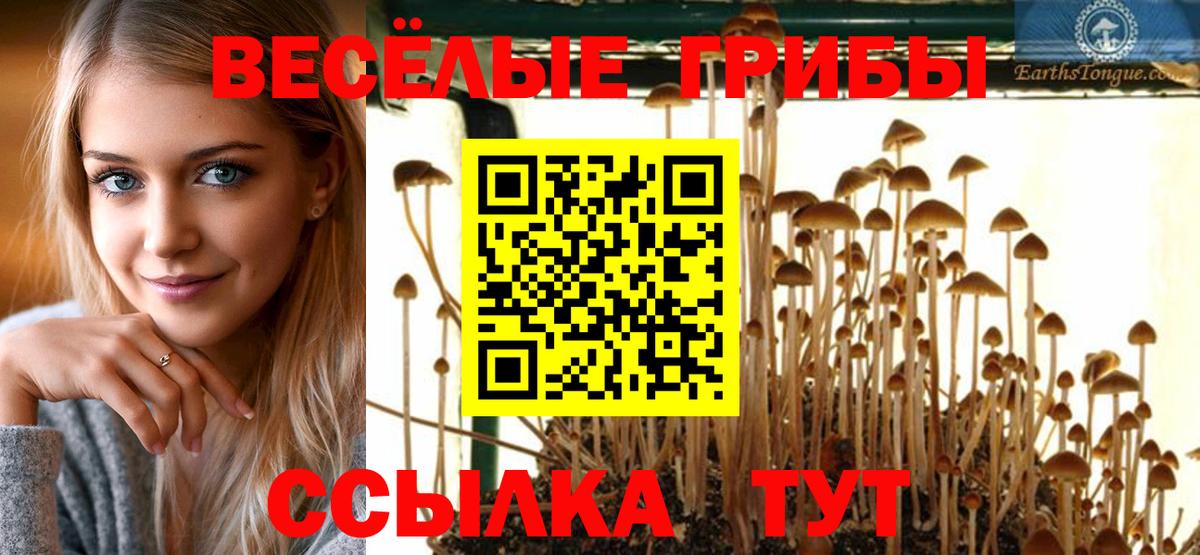 Галлюциногенные грибы прущие грибы Приморско-Ахтарск