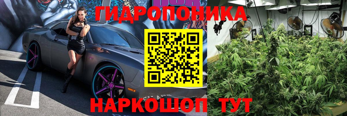 Бошки Шишки OG Kush  Вход с VPN  Приморско-Ахтарск  Марихуана VHQ  Марихуана марихуана 